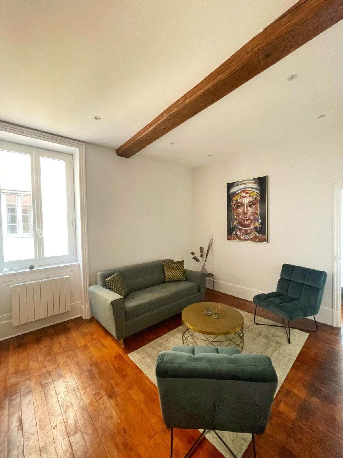 Center Macon Charmant Appartement Avec Vue Sur La Saone Exterior foto